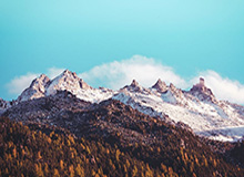 历史数据-九游娱乐空间：让游戏与生活无缝连接的理想场域